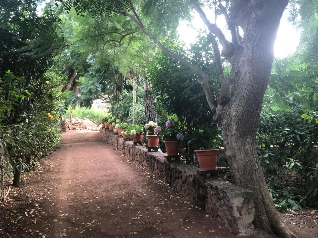 Finca El Vergel Rural Tegueste Extérieur photo
